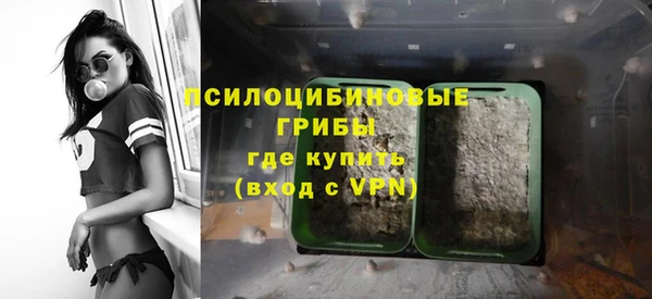 mix Рославль