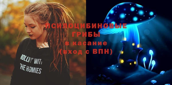 твердый Ростов