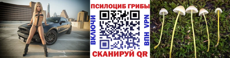 Псилоцибиновые грибы Magic Shrooms  купить наркоту  Борисоглебск 